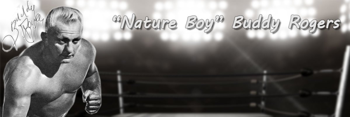 BuddyRogers.net banner