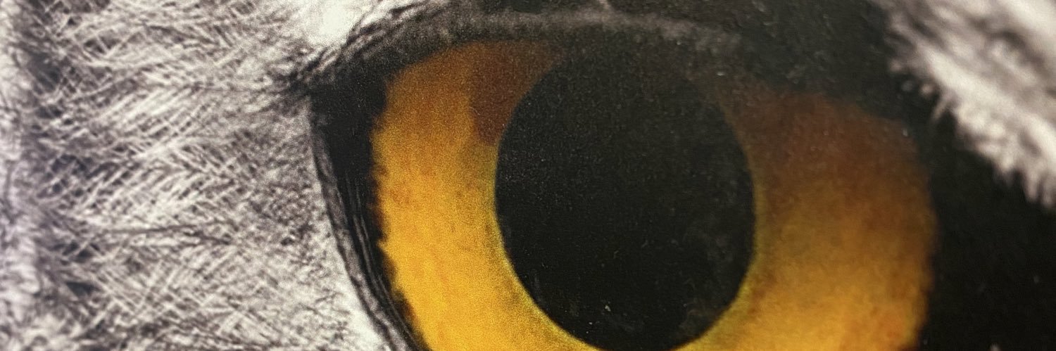 davmtz83's profile banner image