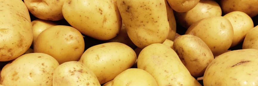 POTATOBOBA1's profile banner image