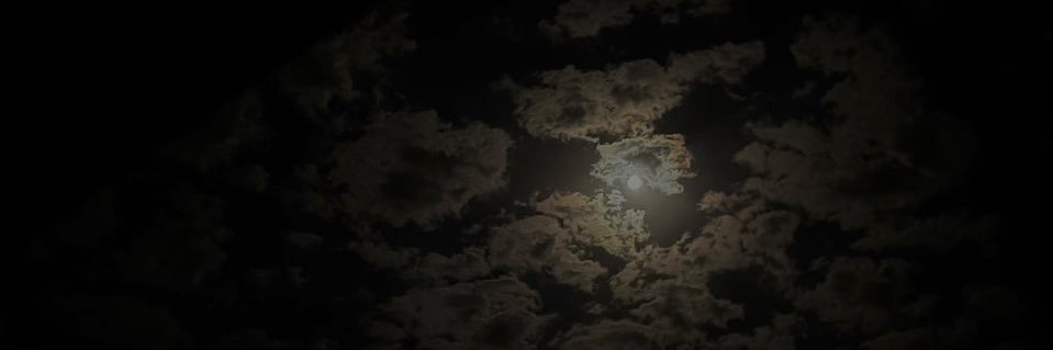 وائل banner