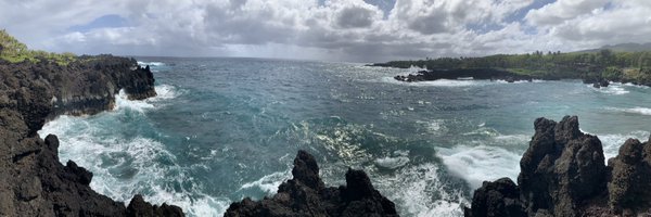 parrspective Profile Banner