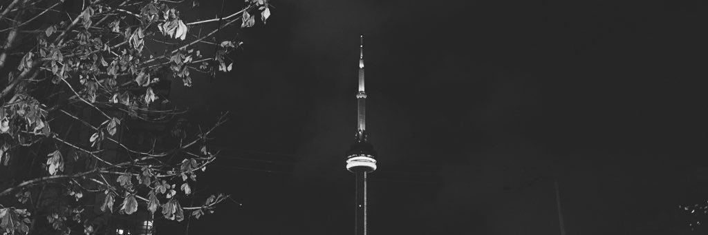 Michael Wallace banner