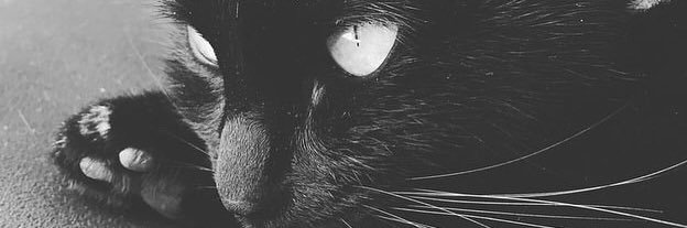Milka Ibañez banner