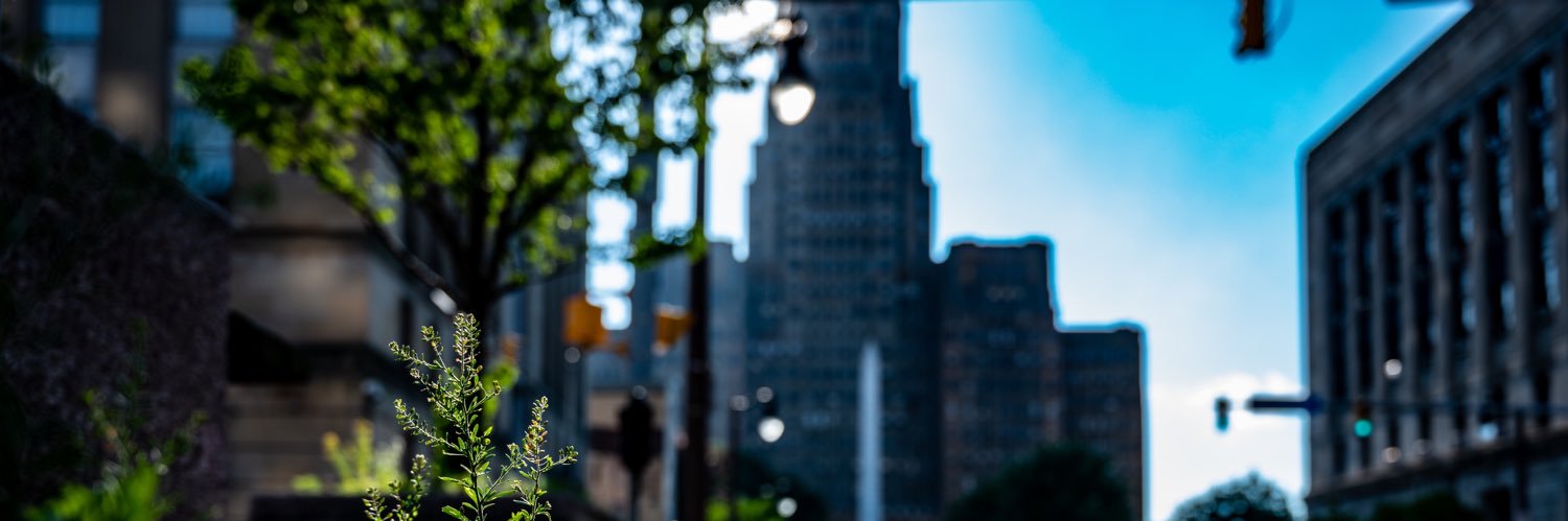Walt1_'s profile banner image