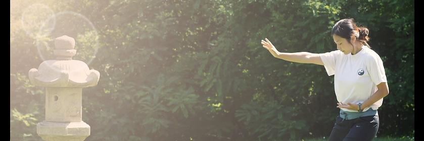 wushu's profile banner image