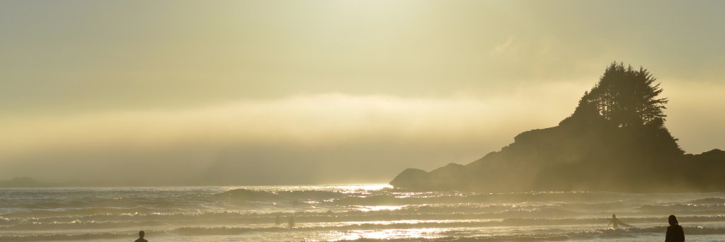 nigeljbennett's profile banner image