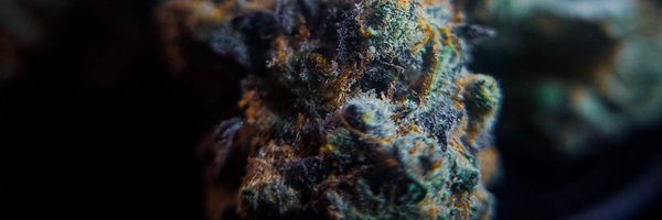 JohnAustinAllen Profile Banner