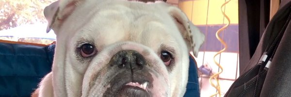 RidleyHowell Profile Banner