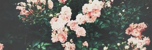 killertaytay's profile banner image