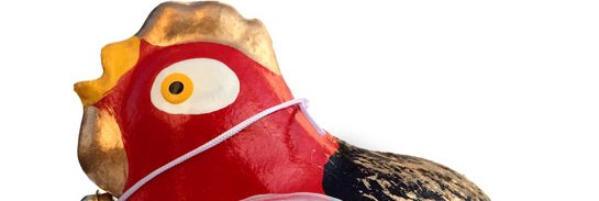 torinuko banner