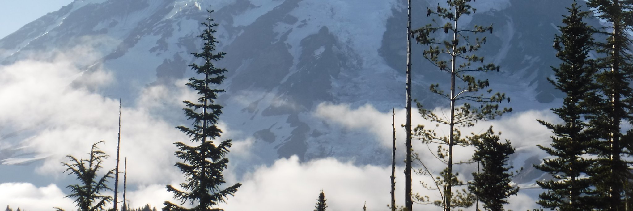 Linville_Mike's profile banner image