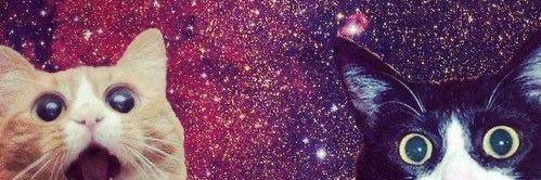 ⊹₊⟡⋆ ꪆ𓏲 vic banner