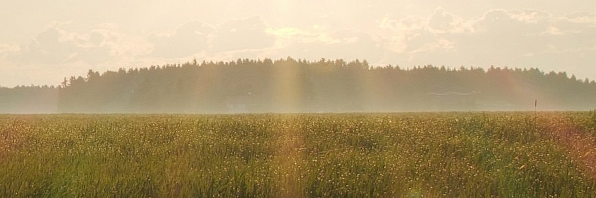 HerraSnellman's profile banner image
