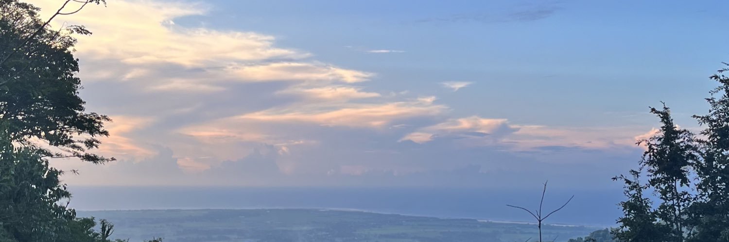 faiiiii banner