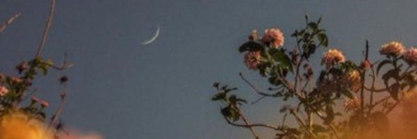 always_bmil Profile Banner