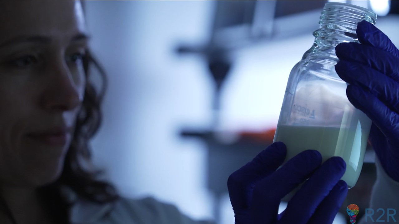 Prof. Meghan Azad, PhD banner