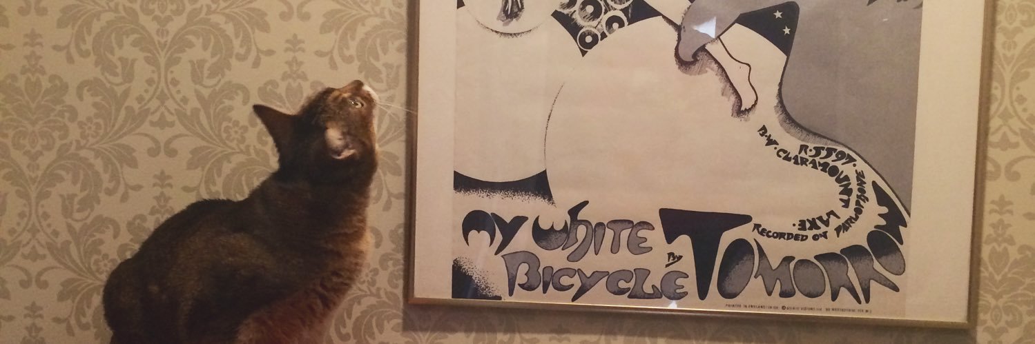 Morrie Morissette banner