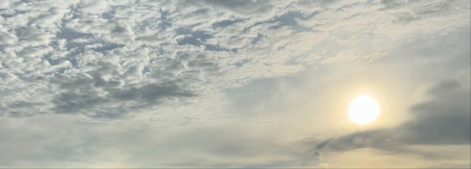 hazelilacy's profile banner image