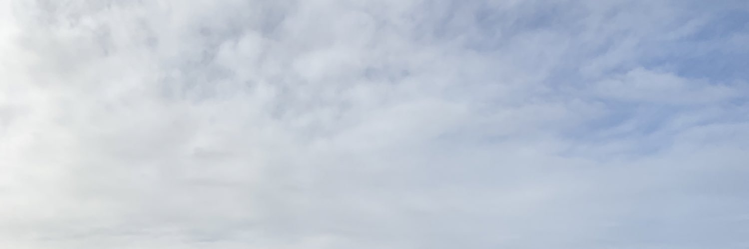 marthasujey_'s profile banner image