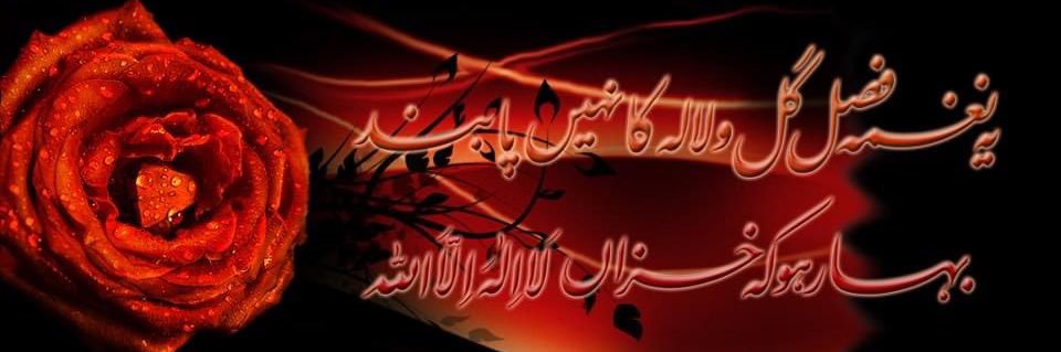 muqaddasbabar's profile banner image