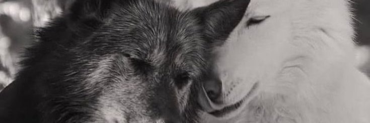 kyazzmin's profile banner image