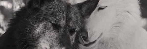 kyazzmin Profile Banner