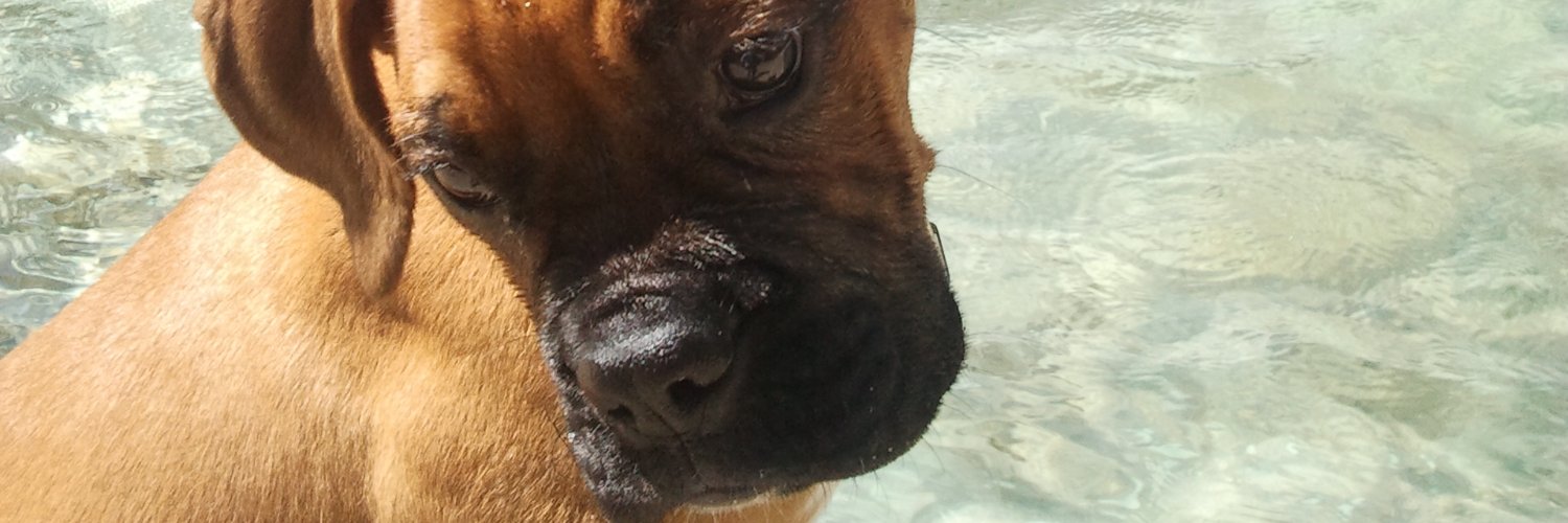 davidlig_es's profile banner image
