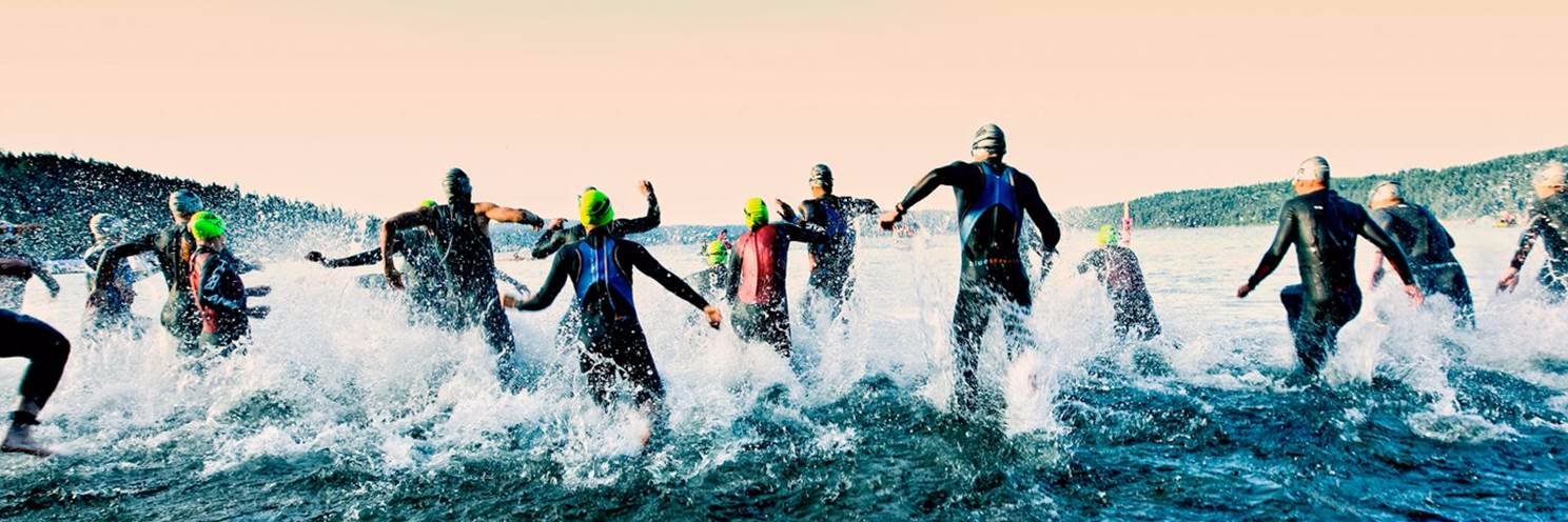 Frederic Saffroy banner