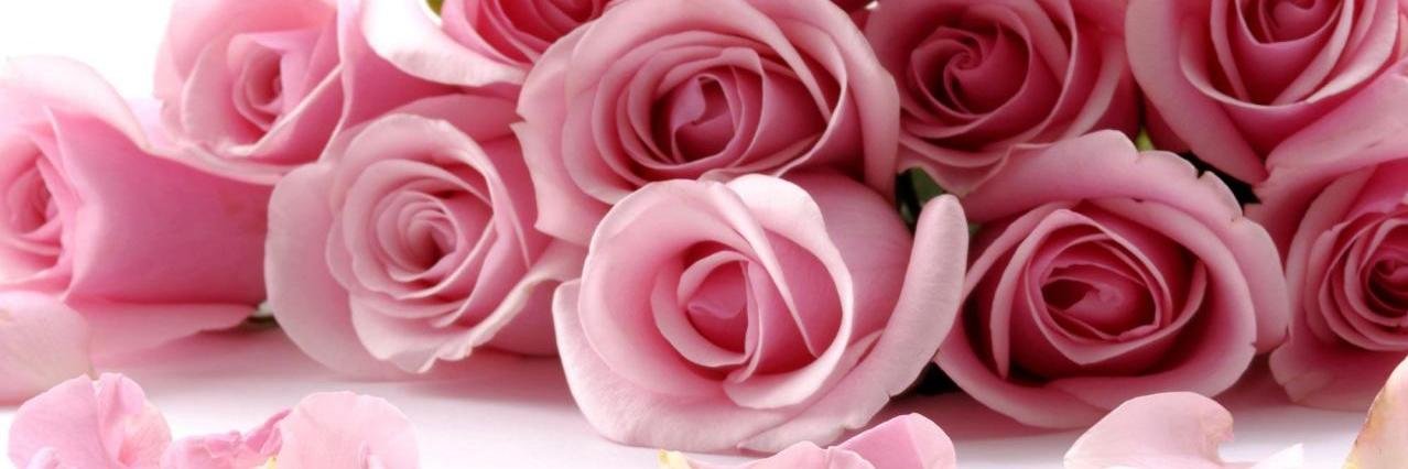 putri nurbaiti banner