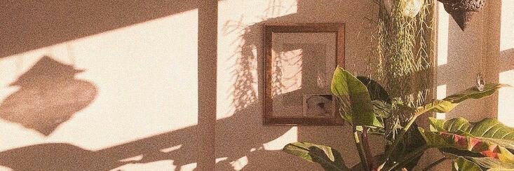 nikenDL's profile banner image