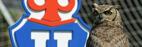 grungetavo Profile Banner