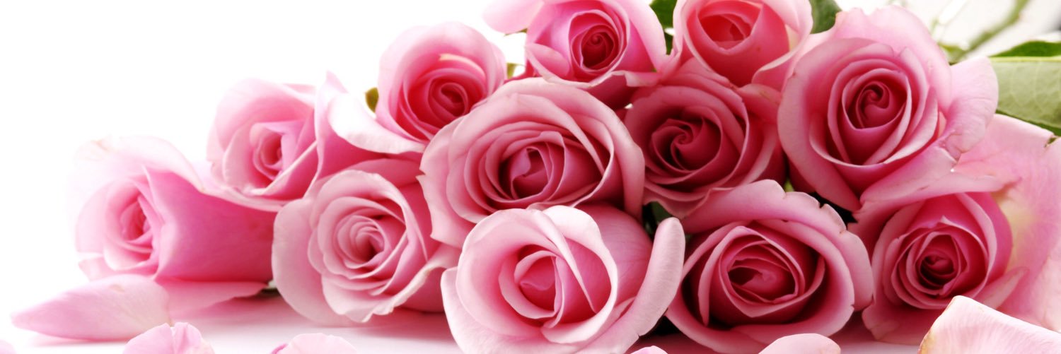 esriharjani's profile banner image