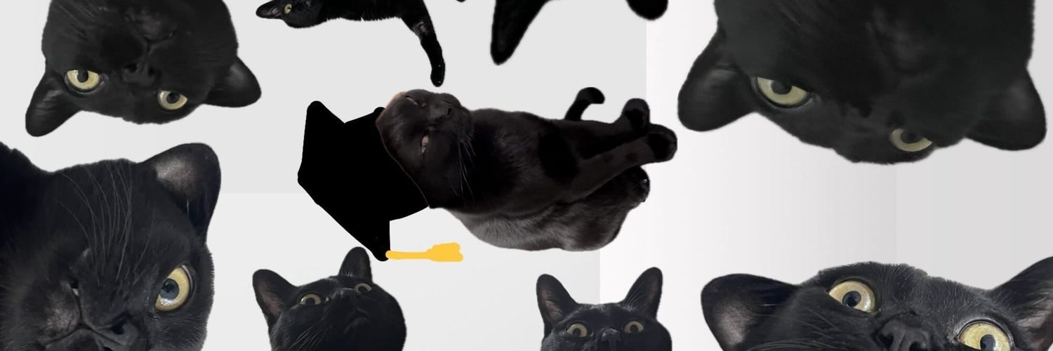 BAE. banner