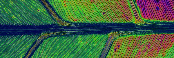 GROWAccelerator Profile Banner