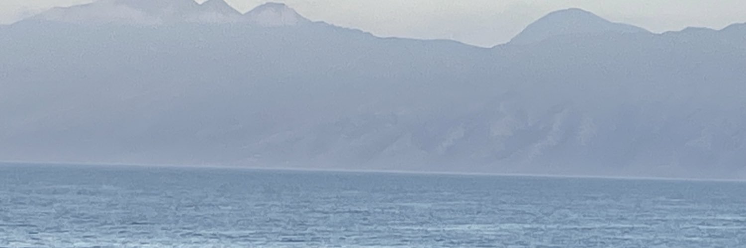 BirdHunter03🇺🇸 banner