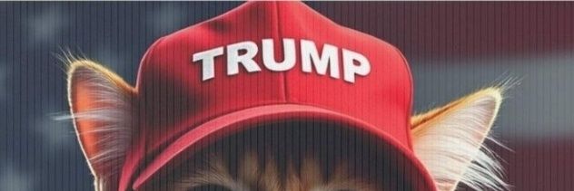 Danimal Plus 🇺🇲 banner