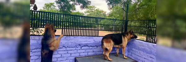 yogsrana Profile Banner