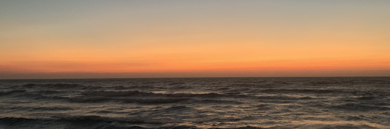 ziarviar's profile banner image