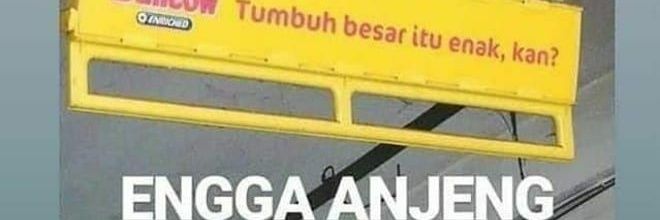 MieGoreng banner