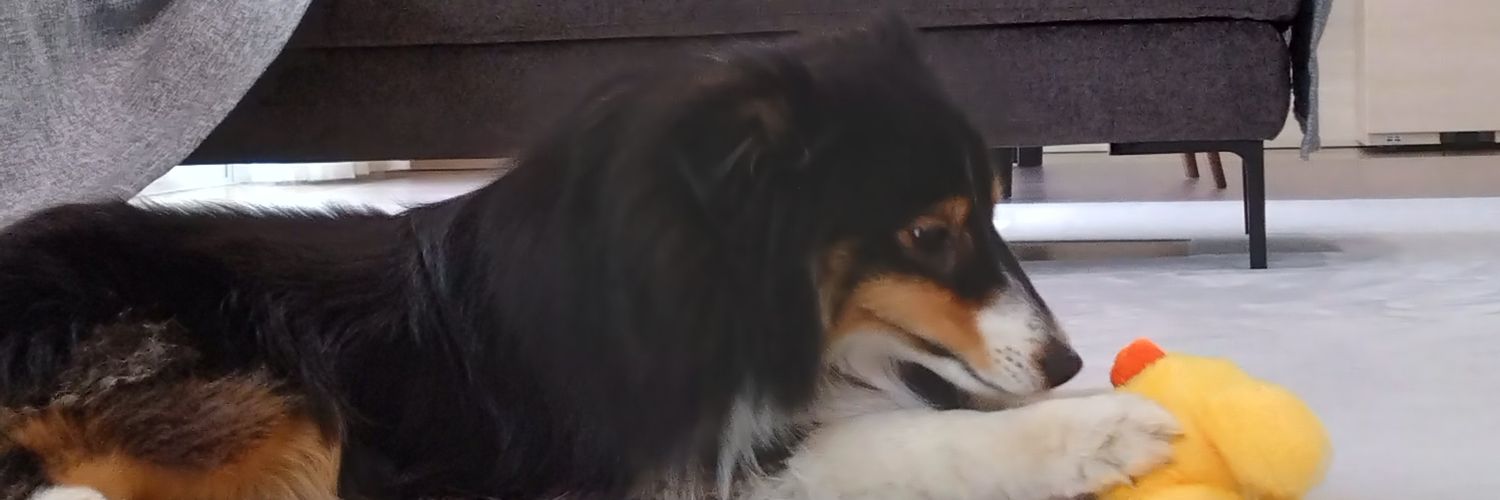 TYMMAI's profile banner image