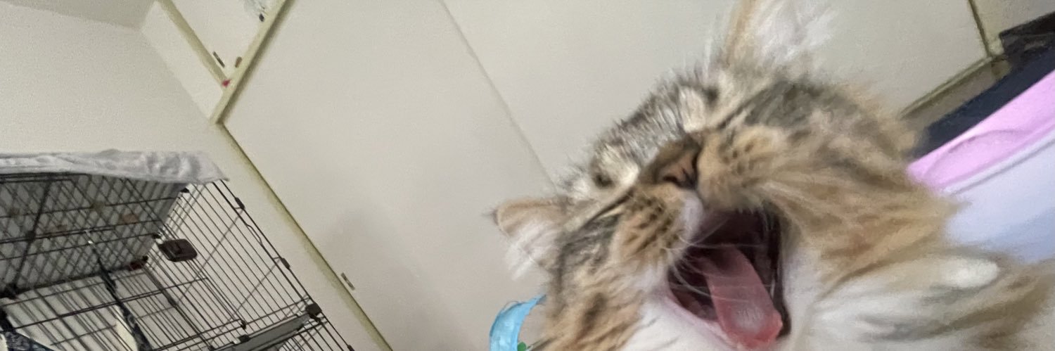 ねあこん banner
