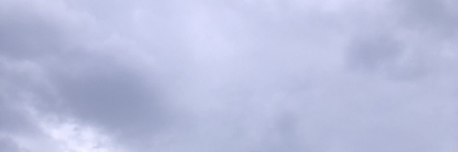 hurtpuppies banner