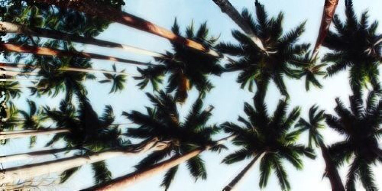 roxykupfert's profile banner image