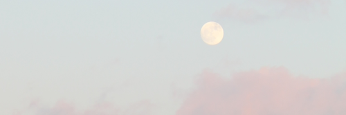 s 🌕 m i — slow replies banner