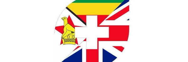 Zimbabwe Health UK Profile Banner