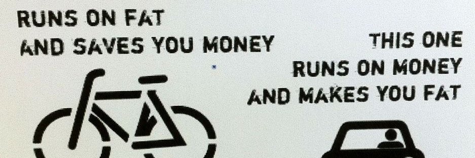 Karolina Skog banner