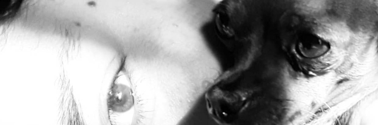 daniepcprz's profile banner image