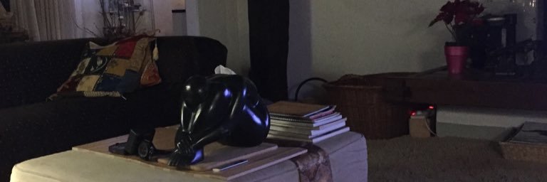 rouveen's profile banner image