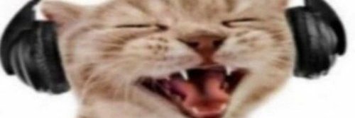hi banner