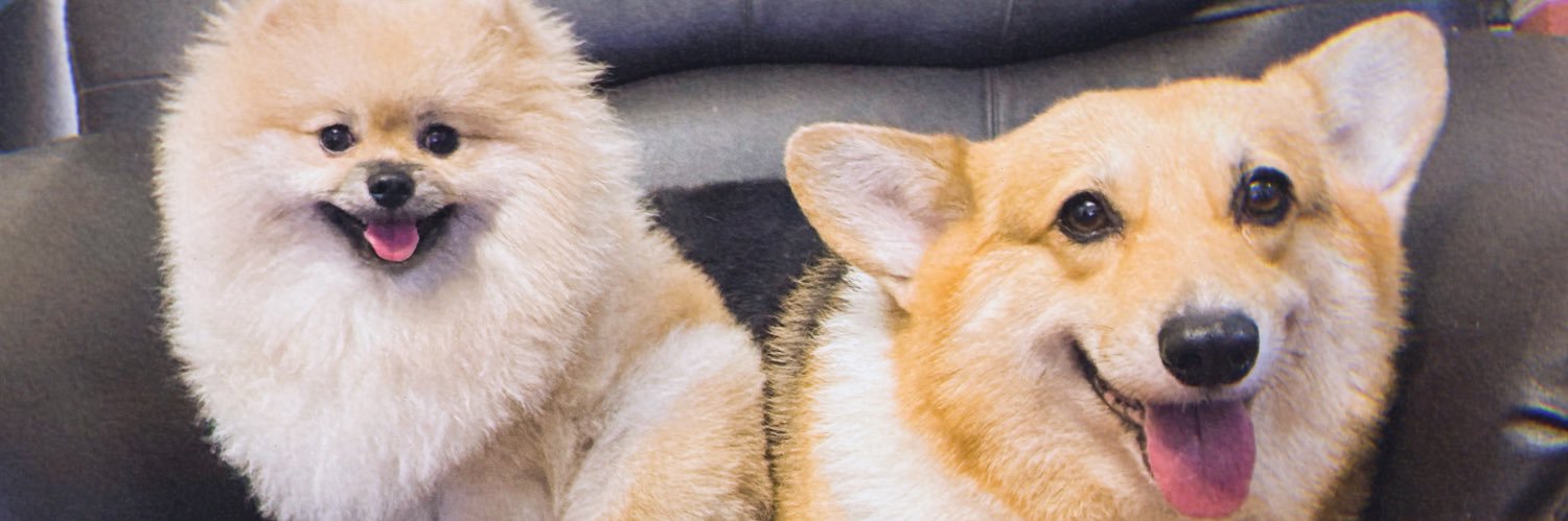 JustinoM_'s profile banner image